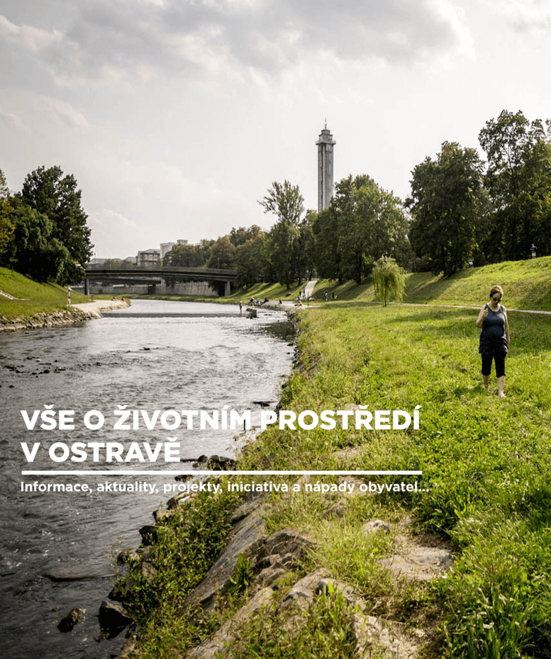 trvalka-ziv-prostr-LG-foto