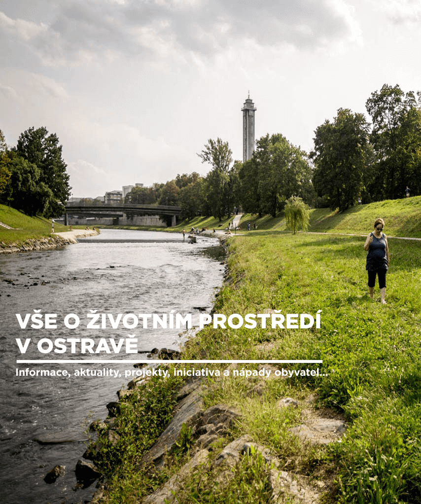 trvalka-ziv-prostr-LG-foto