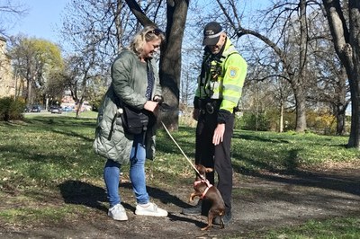 Psí radost ano, nepořádek ne