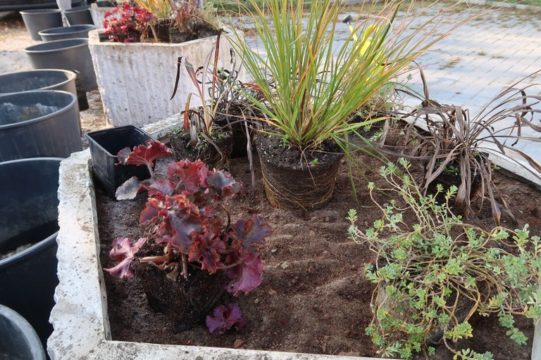 Zelená pro Ostravu – využijte příležitost a získejte finance na svůj projekt!