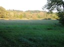 Mokřad